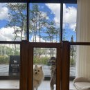 퐁키살롱 이미지