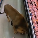 싱글벙글마트 이미지