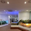 에이.비.지 이미지