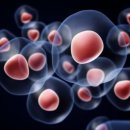 (주)한국줄기세포 이미지