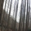 힐링(장태산) 이미지