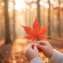 힘이 쑥쑥 놀이체육 | 광주 쌍암공원 풍암생활체육공원 어린이 숲파티포레