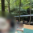 참빛자연농원민박 이미지