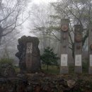 사라커피(무인)