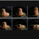 이윤정산부인과의원 이미지