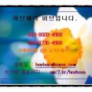 허브애 이미지