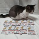 더블유(W) 메딕스 이미지