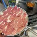 특수고기 이미지