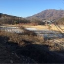 파주시법원읍웅담보건진료소 이미지