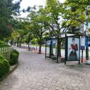 부산 사직종합운동장실내체육관 가는 방법