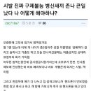 고모네 이미지