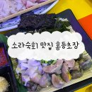 홍등초장