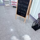 댕댕존 이미지