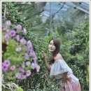 다수곡 이미지