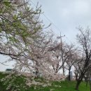 광주 천변길3 이미지