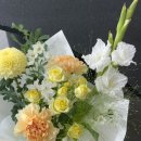 시연화다 네이버블로그