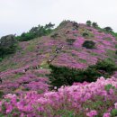 남도조경개발