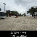 카멜버스 | TM Camel Bus 후기｜카멜버스타고 호이안에서 후에 이동, VIP 슬리핑버스로 편안했던 베트남 장거리...