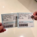 더나음컴퍼니 | 4박 5일 홍콩 자유 여행 [4일차] : with the AE(way up)