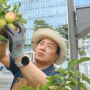 감사나무 이미지