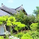 구례구선 | 구례 춘해루(春解樓)
