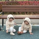 주둥이 - 당진시 | 주둥이네 내돈내산 타보웨건GT2 구매 후기