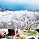 울릉도식품 이미지