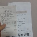 펫츠나라 동물병원 이미지