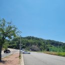 동백 | 여수 동백한식 후기