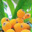 과일방 - 논산시 계백로 791 | 과일방