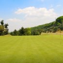 강남-031 이미지