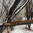 국유림관리사무소 이미지