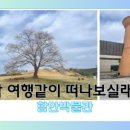 카페 아라홍련 박물관점