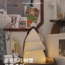 소프트리 | [life&COLLECT] 소프트리 버켓 리뷰