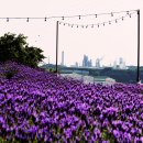 고래정원 이미지