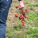 아프니카 이미지