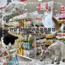 안양애견용품 110평 대형할인매장 안양 펫마트 가성비 고양이용품 추천