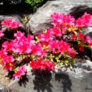 마음의 문 이미지