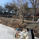 (파주 쇠꼴마을 눈썰매장) 파주 아기랑 갈만한 곳/ 쇠꼴마을 눈썰매장 방문 솔직 후기
