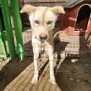 광주TNR동물병원(초월) 이미지