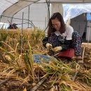 화랑농장 이미지