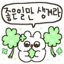 태영21내과의원 이미지