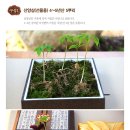 기특이네 농장 이미지