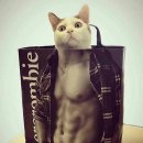 브레드킹 네이버블로그