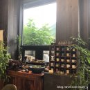 용소길96