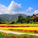 용천사입구 이미지