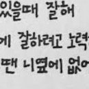 대현메디칼 이미지