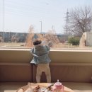 주식회사 굿초이스 이미지