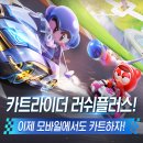 러쉬 피시방 이미지