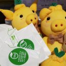 텃밭협동조합 이미지